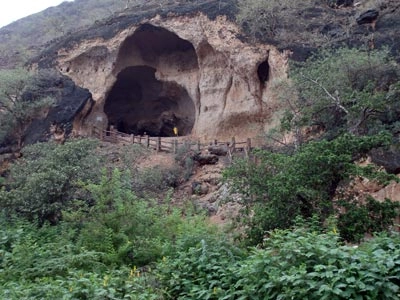 webdunia