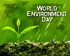 World Environment Day 2024-  વિશ્વ પર્યાવરણ દિવસ શા માટે ઉજવાય છે જાણો ઈતિહાસ