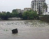ગુજરાતમાં આગામી છ દિવસ સુધી વરસાદી માહોલ જામેલો રહેશે