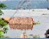 Weather Update : असम में बाढ़ की स्थिति गंभीर, 42 हजार से ज्‍यादा लोग प्रभावित