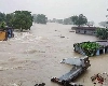असम में बाढ़ का कहर, 21 लाख से ज्यादा प्रभावित, 57,018 हेक्टेयर भूमि जलमग्न