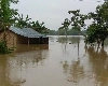 असम में बाढ़ से हाल बेहाल, 6.5 लाख प्रभावित, वायुसेना ने किया 13 लोगों का रेस्क्यू