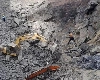 मिजोरम में पत्थर की खदान ढहने से 12 लोगों की मौत