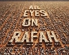 'All Eyes on Rafah': સોશિયલ મીડિયા પર કેમ છવાઈ છે આ પોસ્ટ ? શુ છે તેના પાછળની સ્ટોરી ?