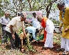 आर्ट ऑफ लिविंग पूरे भारत में एक करोड़ पौधे लगाएगा; हजारों भारतीय किसान भी इसमें भाग लेंगे