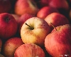 બજારમાં મળતા ફળોમાં ભેળસેળ: દુકાનદારે સફરજનને રંગ આપતા જોયા, સોશિયલ મીડિયા પર વાયરલ વીડિયોને કારણે ચિંતા વધી