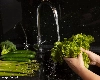 बारिश में सब्जियों को साफ करने के लिए अपनाएं ये तरीके