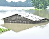 Assam Flood : असम में बाढ़ से हाहाकार, 52 लोगों की मौत, 30 जिलों में 24 लाख से ज्‍यादा प्रभावित