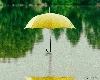 बारिश के लिए खरीदने जा रहे हैं नया छाता तो इन 5 बातों का रखें ध्यान