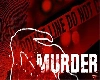 वसई : भररस्त्यात प्रियकराने प्रेयसीची हल्ला करत केली निर्घृण हत्या,आरोपी प्रियकराला अटक