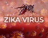 Zika Virus: झिका व्हायरसबाबत अलर्ट, केंद्र सरकारने सर्व राज्यांसाठी ॲडव्हायझरी जारी केली