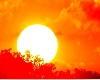 भीषण गर्मी घेत आहे बळी, मागील 72 तासांमध्ये ओडिसा मध्ये सन स्ट्रोकमुळे 99 लोकांचा मृत्यू