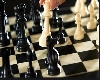 Chess:  अर्जुन एरिगेसीला शारजाह मास्टर्समध्ये प्राधान्य