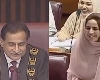 पाकिस्तान महिला खासदार सभापतींना म्हणाल्या - माझ्या डोळ्यात बघा, उत्तर ऐकून हशा पिकला