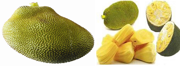 Health Benefits of Jackfruit: फणस (जॅकफ्रुट )खाण्याचे आरोग्यदायी फायदे जाणून घ्या
