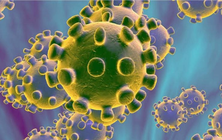 No evidence suggests people with COVID-19 antibodies protected from secondary infection: WHO