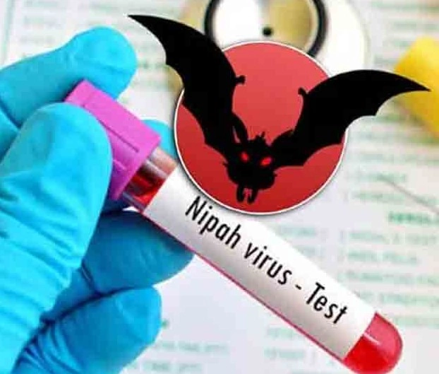 Rare, deadly Nipah virus: What are the symptoms?