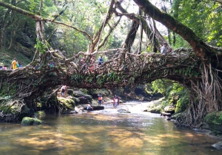 Meghalaya's Living Root Bridges in UNESCO world heritage site