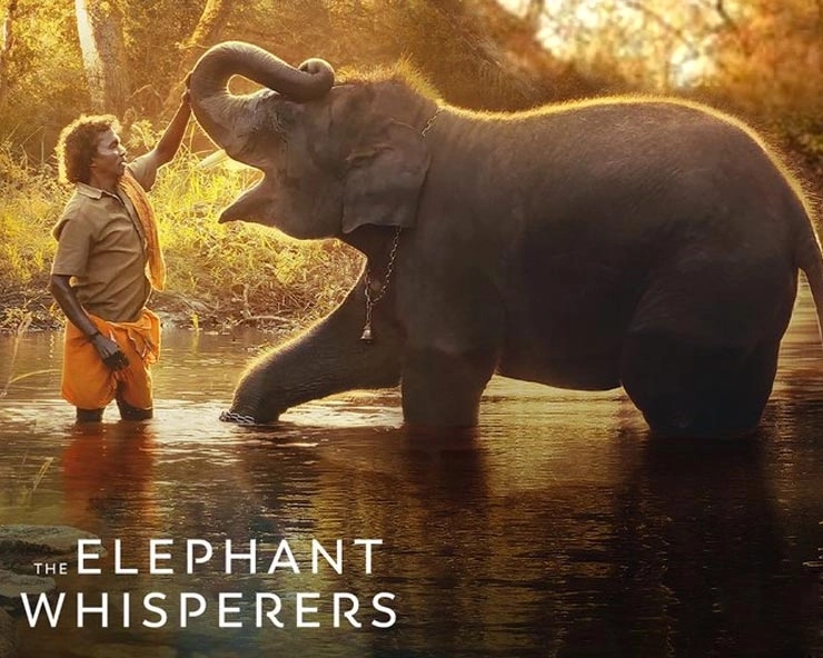 The Elephant Whisperers Review: A Symphony of Trust and Love