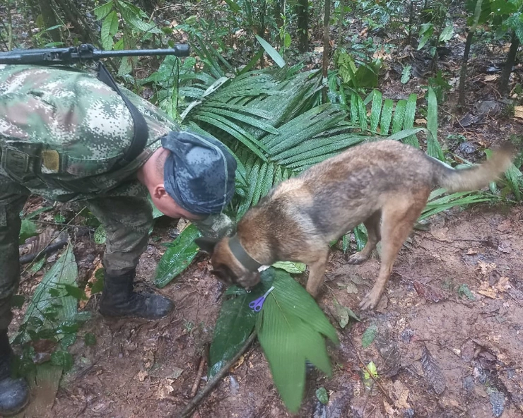 Colombia: 11-month old baby, 3 kids found alive 2 weeks after plane crash