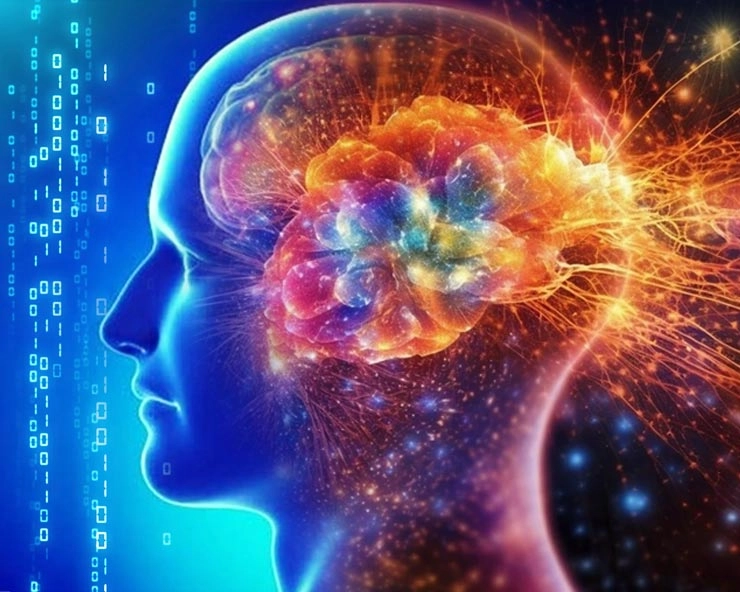 New brain atlases will unlock mysteries of the human mind