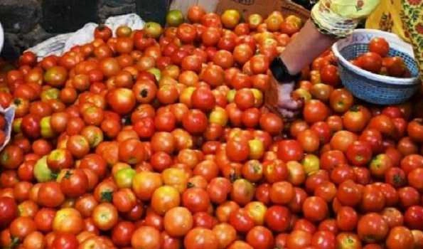 Centre directs NAFED, NCCF to procure tomatoes amid its sky rocketing prices