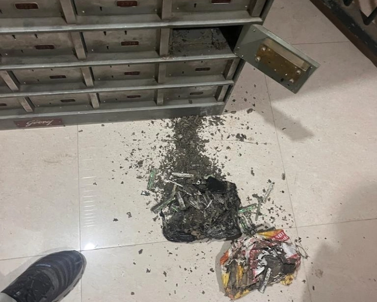 SHOCKING! Termites eat 18 lakh cash stored in bank locker in Uttar Pradesh