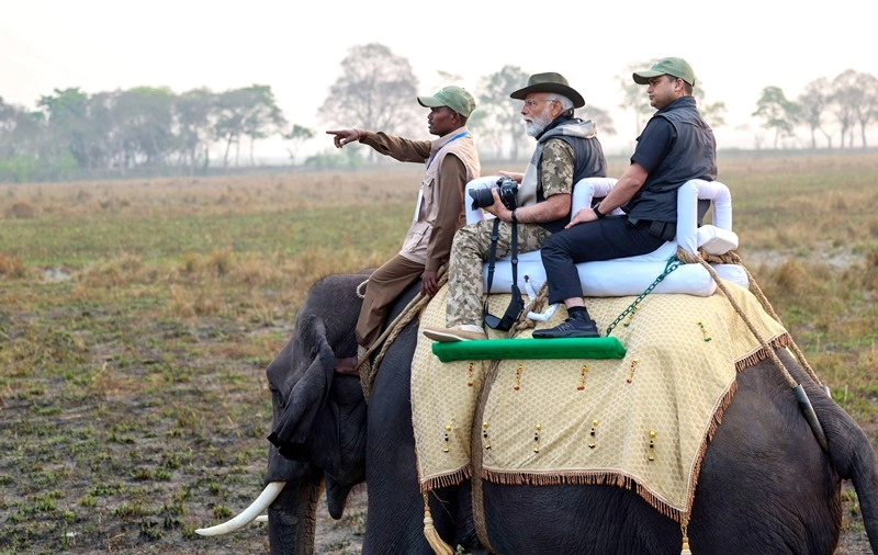 Modi In Kaziranga