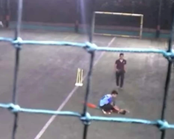 VIDEO: 11-year-old Pune boy dies after cricket ball hits private part