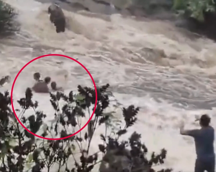 Horrific visuals show family of 5 swept away in Lonavala's Bhushi Dam