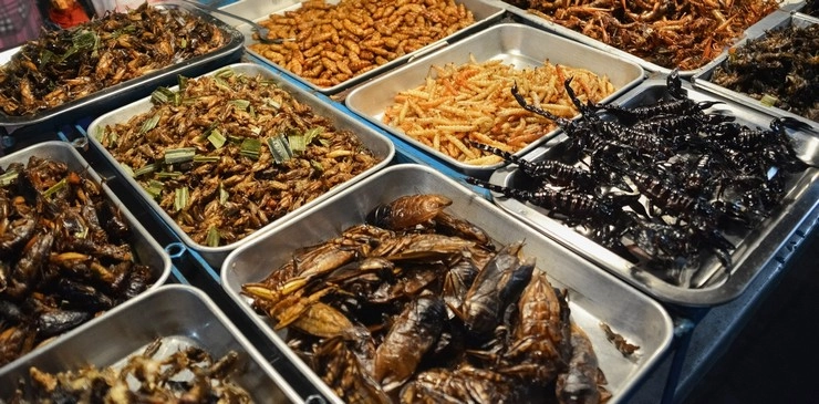 Crickets, grasshoppers, silkworms, locusts and more: Singapore approves these 16 insects for human consumption