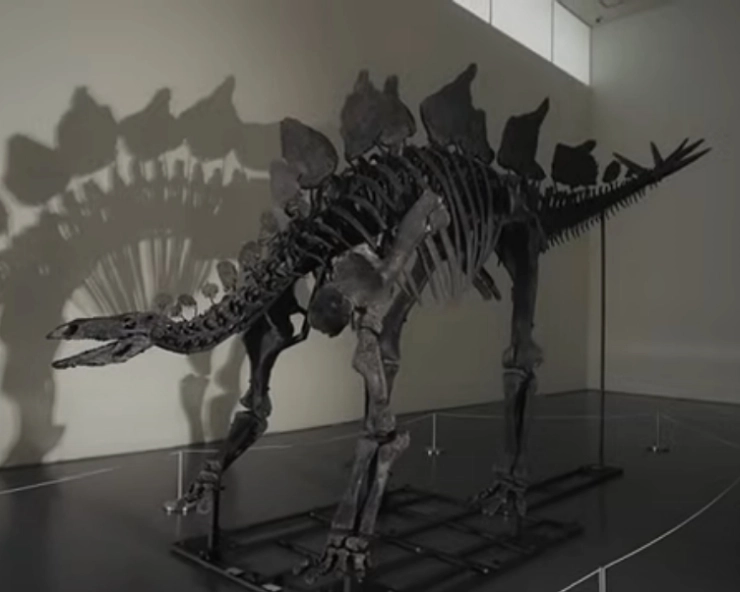 Dinosaur skeleton sells for record-breaking $44.6 million