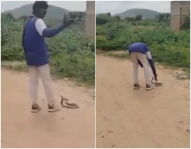 VIDEO: Drunk man ‘plays’ with cobra in Andhra Pradesh, lands in hospital