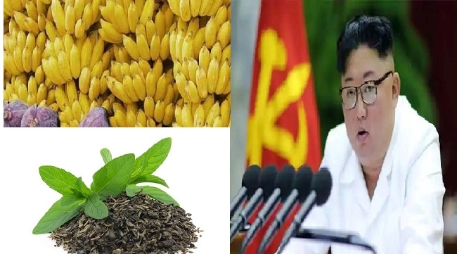 North Korea માં કેળા 3300 રૂપિયા કિલો અને 5200 રૂપિયામાં વેચાય રહી છે ચા, કોફીની કિમંત હોશ ઉડાવી દેશે
