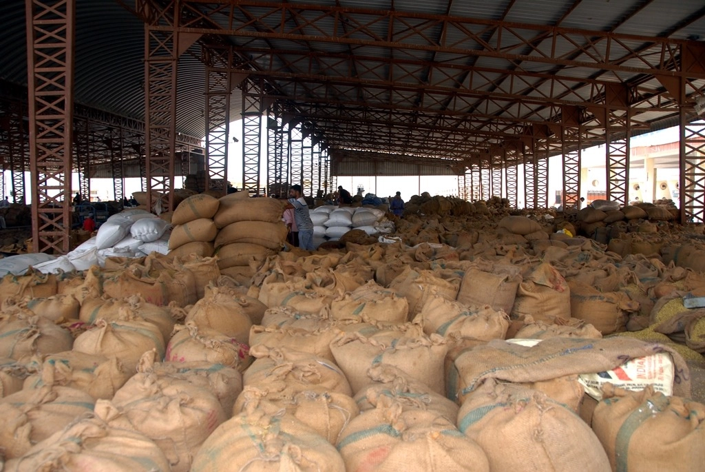 રાજ્ય સરકાર ખેડૂતો પાસેથી લઘુત્તમ ટેકાના ભાવે ઘઉંની સીધી ખરીદી કરશે