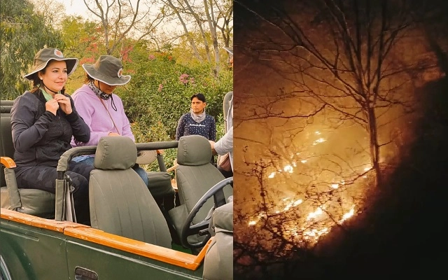 Sariska Tiger Reserve Fire: આગ ઓલવવાને સ્થાને અંજલિ તેંદુલકરને જંગલ ફેરવવા નીકળી પડ્યા ફોરેસ્ટ અધિકારી, photo Viral