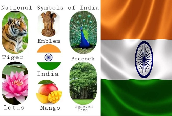 symbole of india