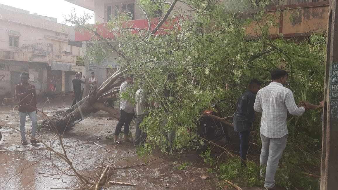 The impact of the storm was seen in Jamnagar city: