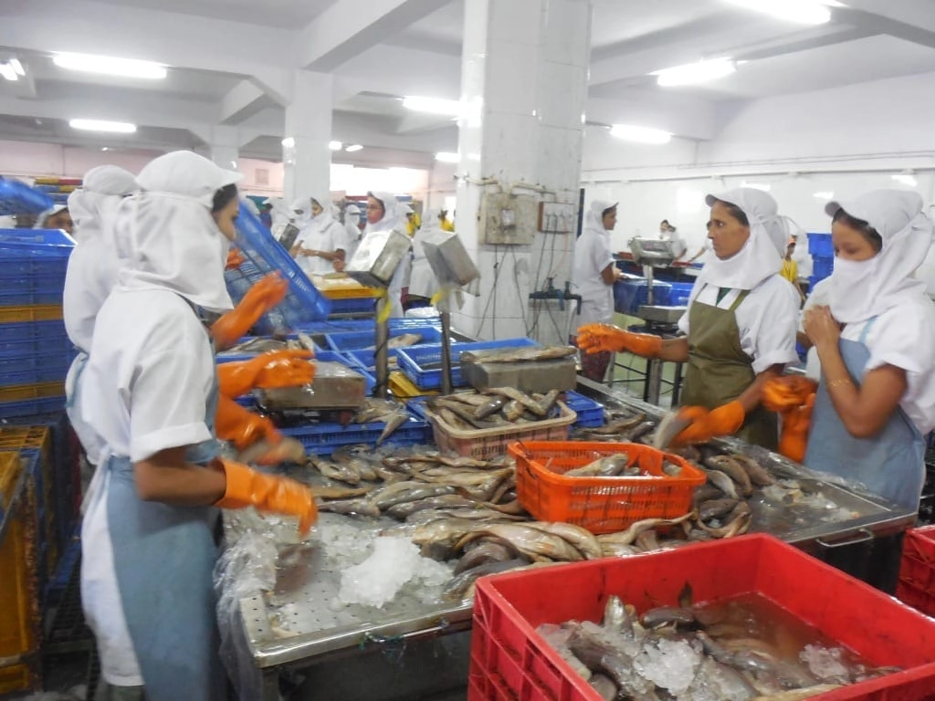 Fish production in Gujarat