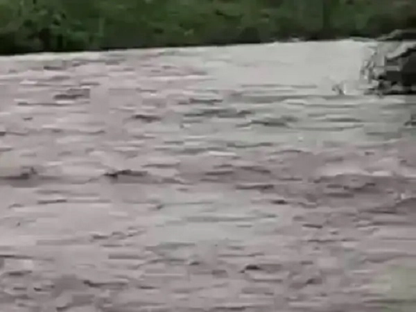 ધોરાજીના છાડવાવદરમાં નદીના ધસમસતા પાણીમાં બે યુવક તણાયા, એકનો બચાવ