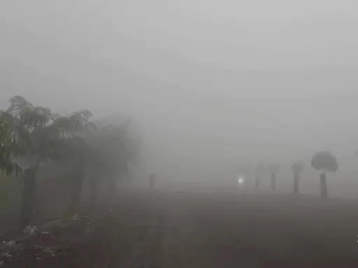A blanket of fog blankets Rajkot