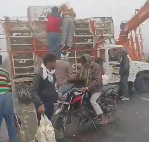 Agra Chicken Loot After Dozen Vehicles Collied Accident Due To Dense Fog See Photos