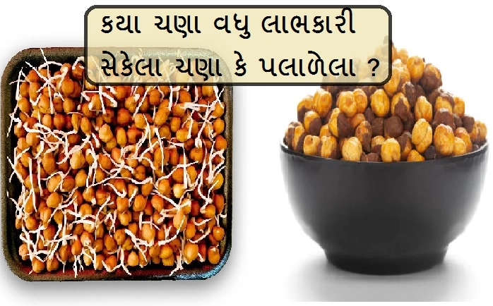 Which is better roasted or soaked chana