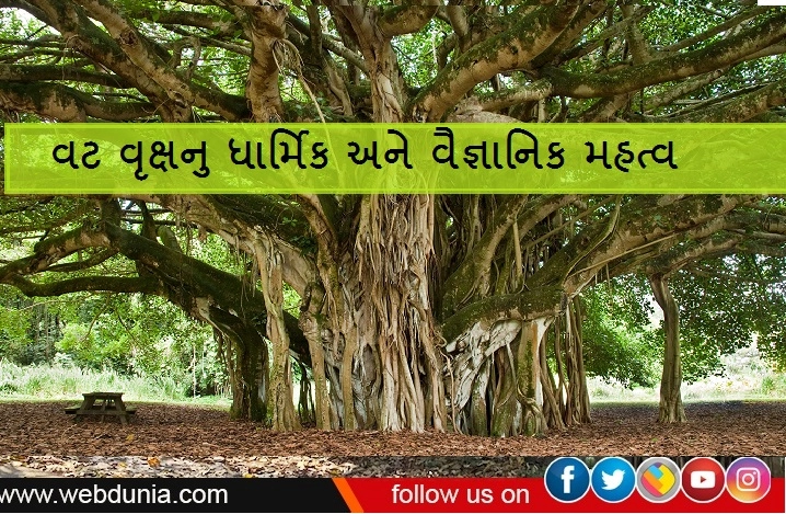 Importance of Banyan Tree