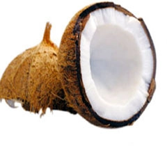 आर्थिक समस्याओं से मुक्ति दिलाएं नारियल के टोटके - आर्थिक समस्याओं से मुक्ति दिलाएं नारियल के टोटके