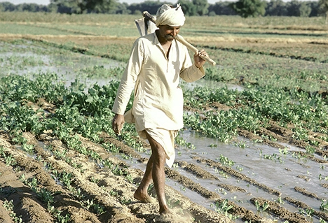 देश में हर किसान परिवार पर 47,000 रुपए का कर्ज