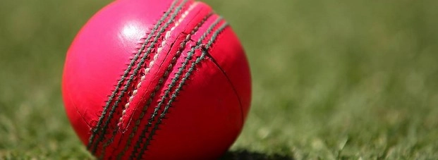 भारत में 'गुलाबी गेंद' के मैच के लिए तैयार ईडन गार्डन - Cricket News, pink ball, Eden Gardens, day night cricket match, Super League cricket tournament, Cricket Association of Bengal