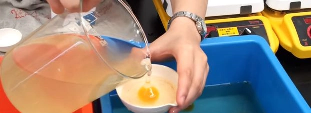 सावधान! कहीं आप तो नहीं खा रहे नकली अंडा (वीडियो) - Fake egg making video