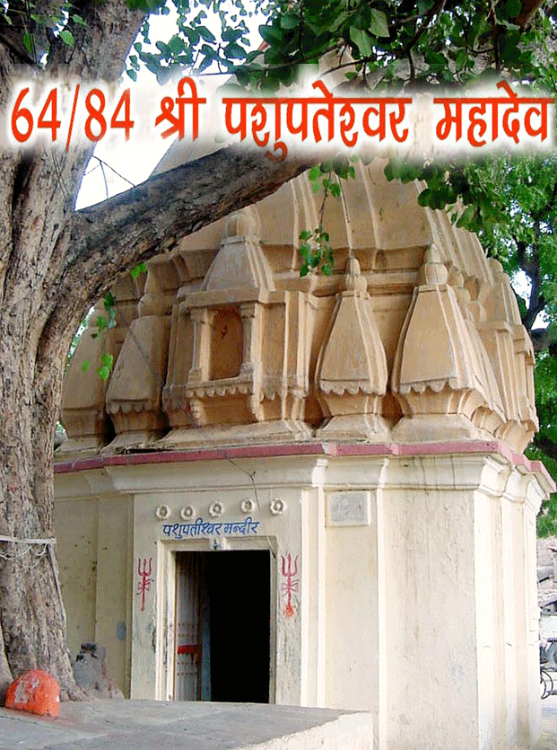 84 महादेव : श्री पशुपतेश्वर महादेव(64) - Pashupateshwar Mahadev