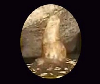 Pithoragarh Patal Bhubaneshwar Cave | ''खंभा'' बताएगा कलयुग के अंत की कहानी